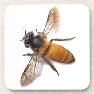 Posavasos Honey Bee