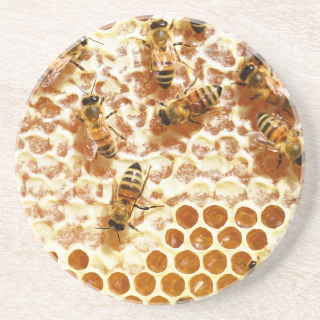 POSAVASOS HONEY BEES (Frente)