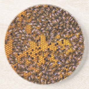 POSAVASOS HONEY BEES
