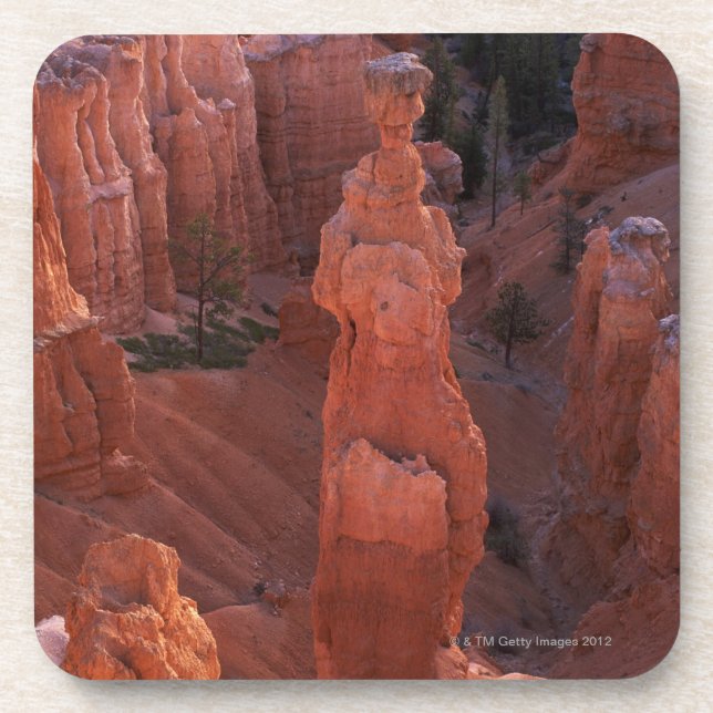 Posavasos Hoodoo del martillo del Thor en rastro de Navajo (Frente)