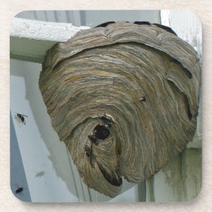 Posavasos Hornets Nest