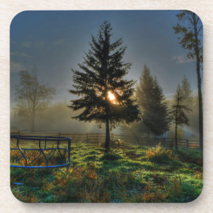 Posavasos Horse Ranch Sunrise Nature Foto