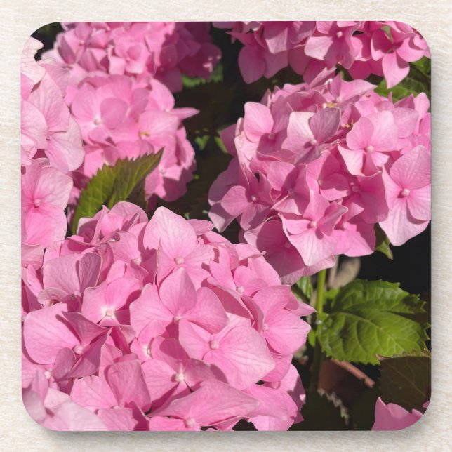 Posavasos Hortensia rosa (Frente)