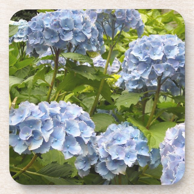 Posavasos Hortensias Azules Profundas (Frente)