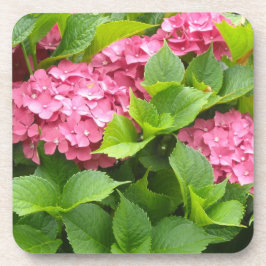 Posavasos Hortensias Rosa Profundo