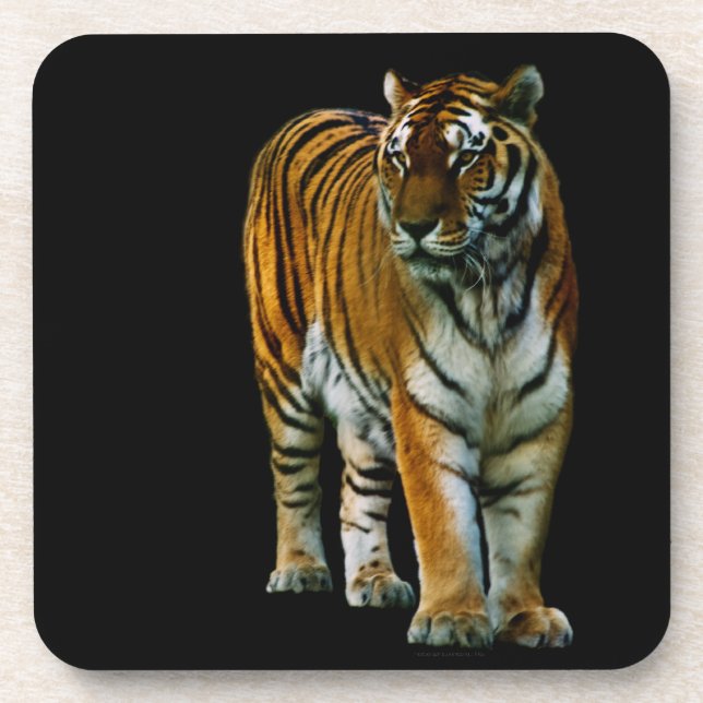Posavasos Hu Lin Cork Coaster (Frente)