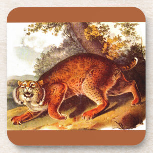 Posavasos Huella bobcat del siglo XIX