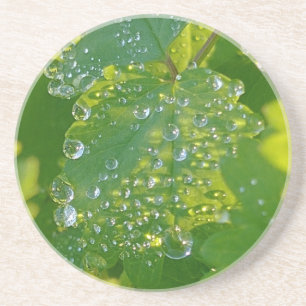 Posavasos Huellas De Agua De Guay En La Hoja Verde