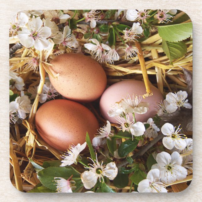 Posavasos Huevos de gallina en el nido (Frente)