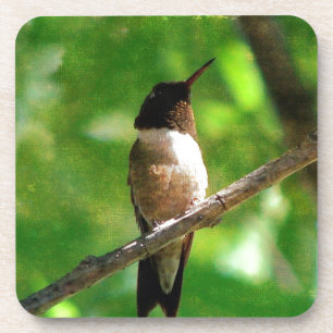Posavasos Hummingbird Morning