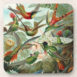 Posavasos Hummingbirds Bella Artes - Formas artísticas de l