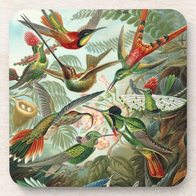 Posavasos Hummingbirds Bella Artes - Formas artísticas de la (Frente)