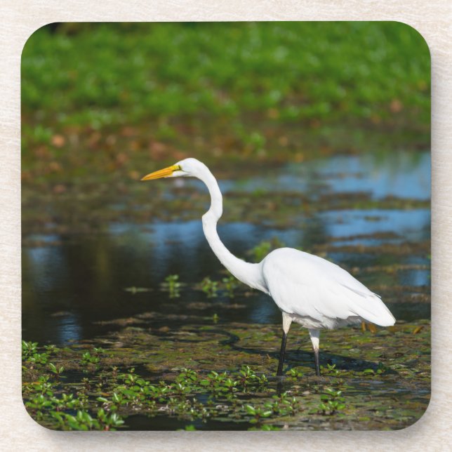 Posavasos Hunting Egret (Frente)