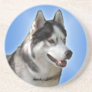 Posavasos Husky Coaster Husky Malamute Sled Dog Coaster