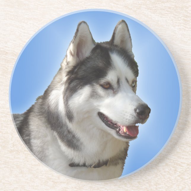 Posavasos Husky Coaster Husky Malamute Sled Dog Coaster (Frente)