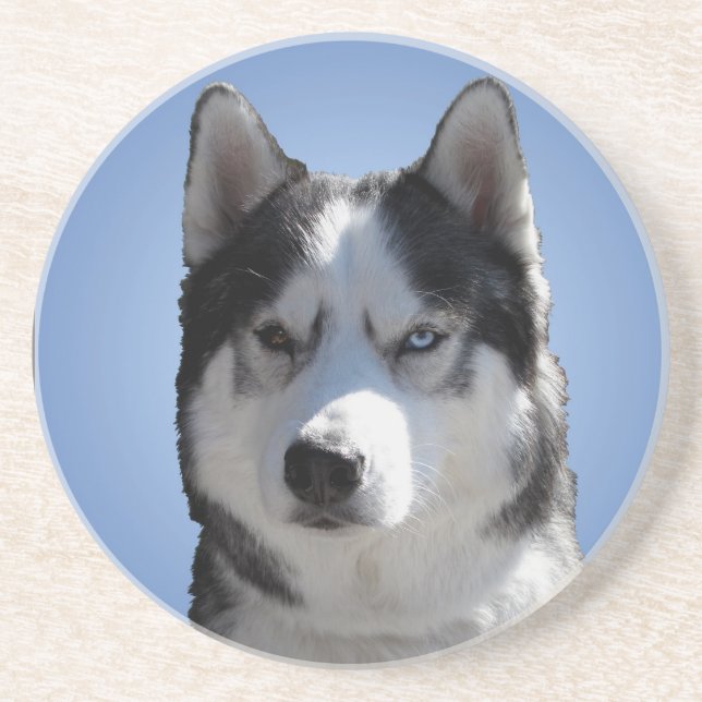 Posavasos Husky Coaster Husky Malamute Sled Dog Coaster (Frente)