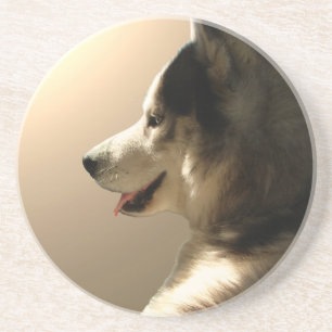 Posavasos Husky Coaster Personalizado Husky Puppy Dog Coaste