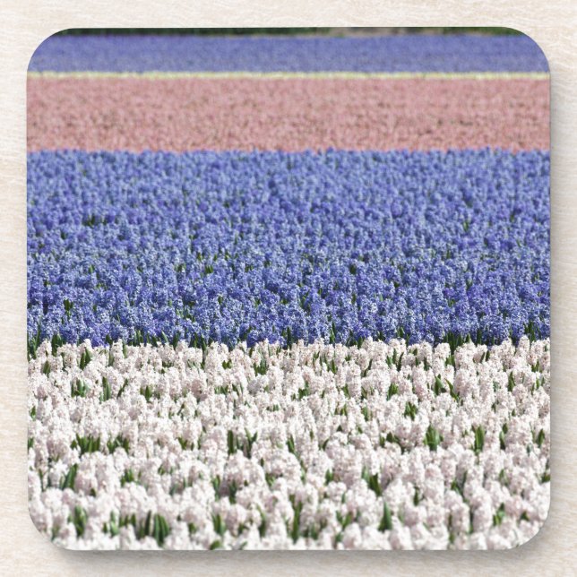 Posavasos Hyacinth Field (Frente)