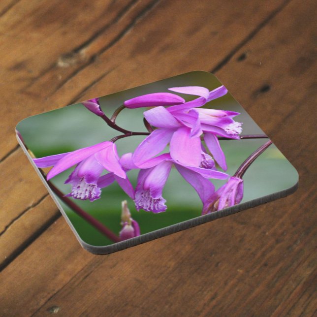 Posavasos Hyacinth Rosa Orchids Floral (In Situ)