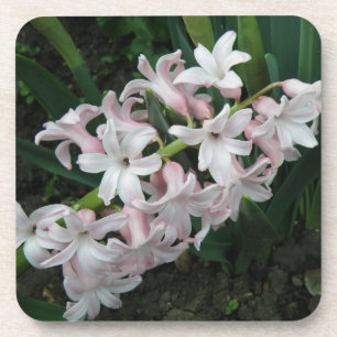 Posavasos Hyacinths Cork Coaster