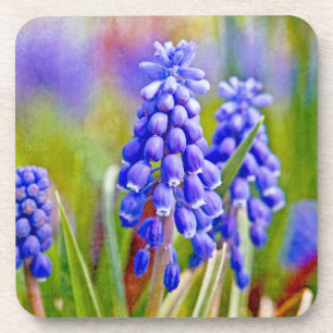 Posavasos Hyacintos de uva