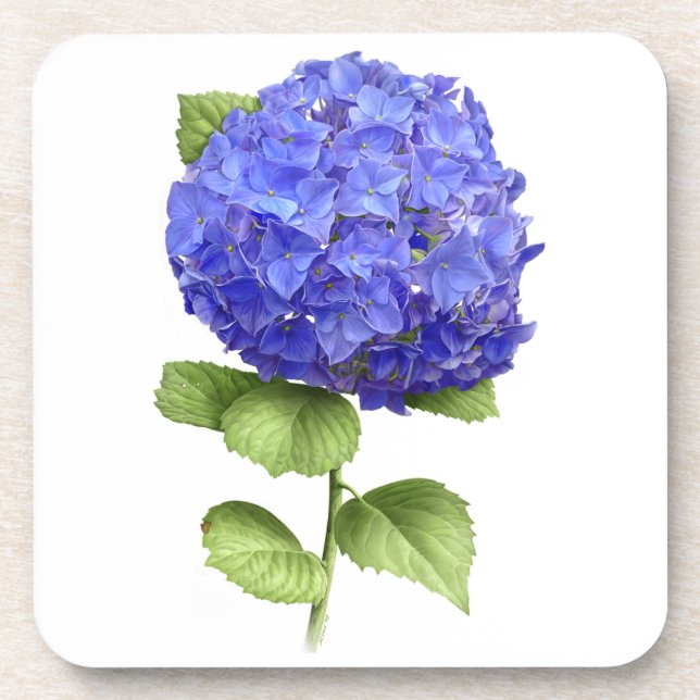Posavasos Hydrangea azul (Frente)