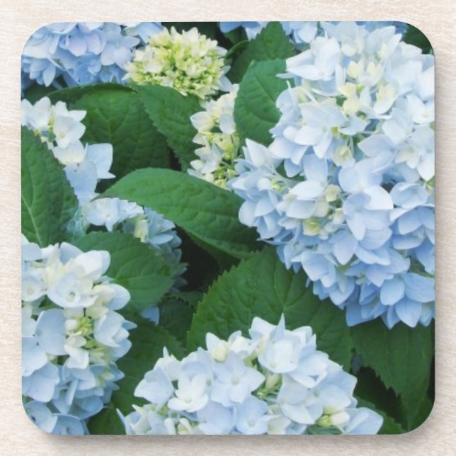 Posavasos Hydrangea Coaster Set (Frente)