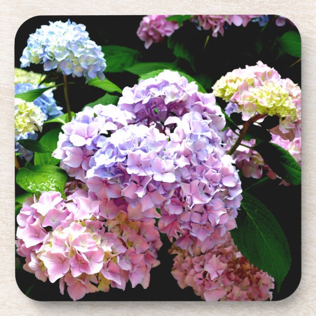Posavasos Hydrangea garden, rosa, azul, violeta floral (Frente)