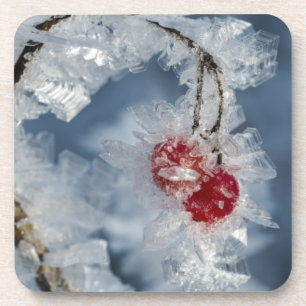 Posavasos Ice Berries