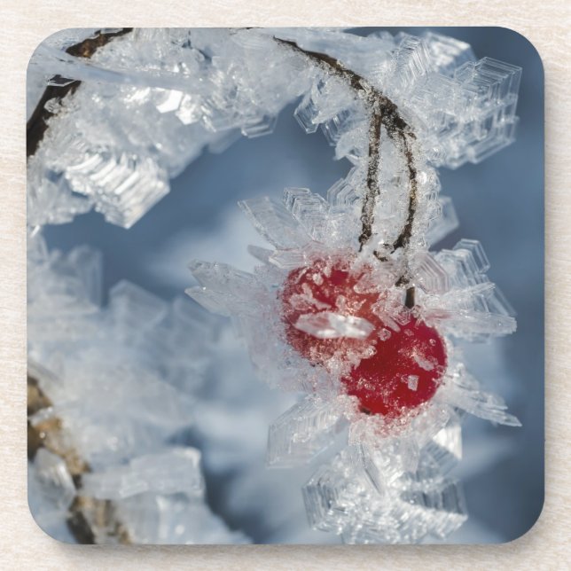 Posavasos Ice Berries (Frente)