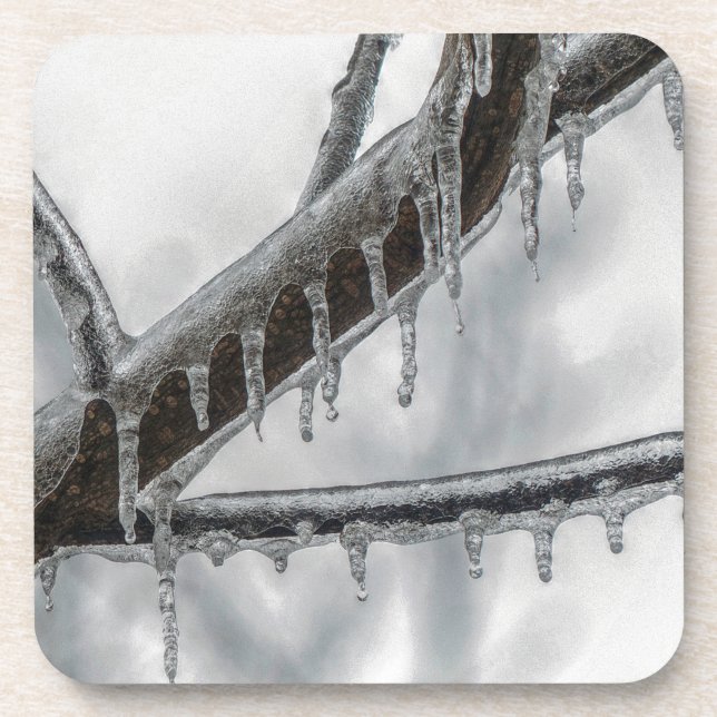 Posavasos Icy Branch (Frente)