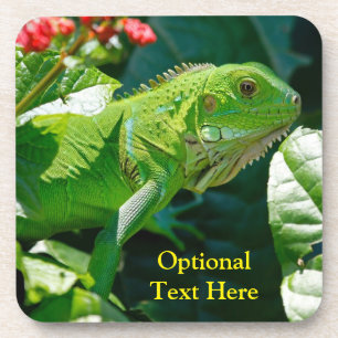 Posavasos Iguana verde personalizada