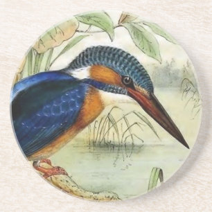 Posavasos Ilustracion del pájaro del vintage del martín