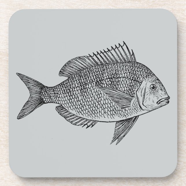 Posavasos Ilustracion náutico de arte marinero de peces de é (Frente)