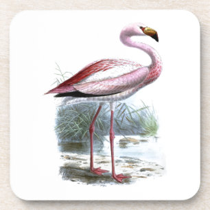 Posavasos Ilustracion Vintage Puna Flamingo