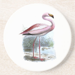 Posavasos Ilustracion Vintage Puna Flamingo