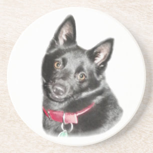 Posavasos Imagen de Schipperke