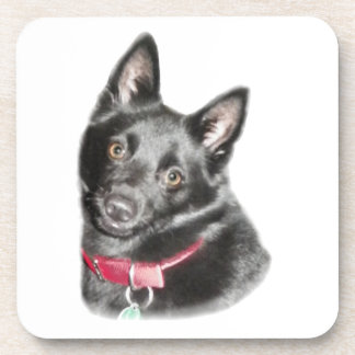 Posavasos Imagen de Schipperke