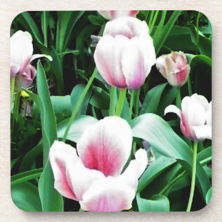Posavasos Imagen rosa de tulipanes