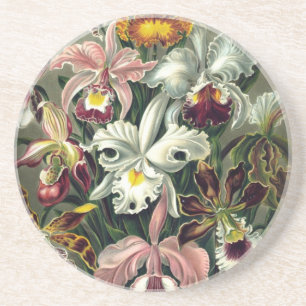 Posavasos Impresión botánica orquídea