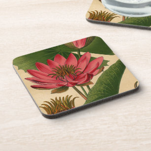 Posavasos Impresión botánica vintage Lirio de agua rosa Lotu
