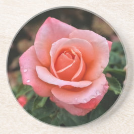 Posavasos Impresión de arte botánico Rosa romántico