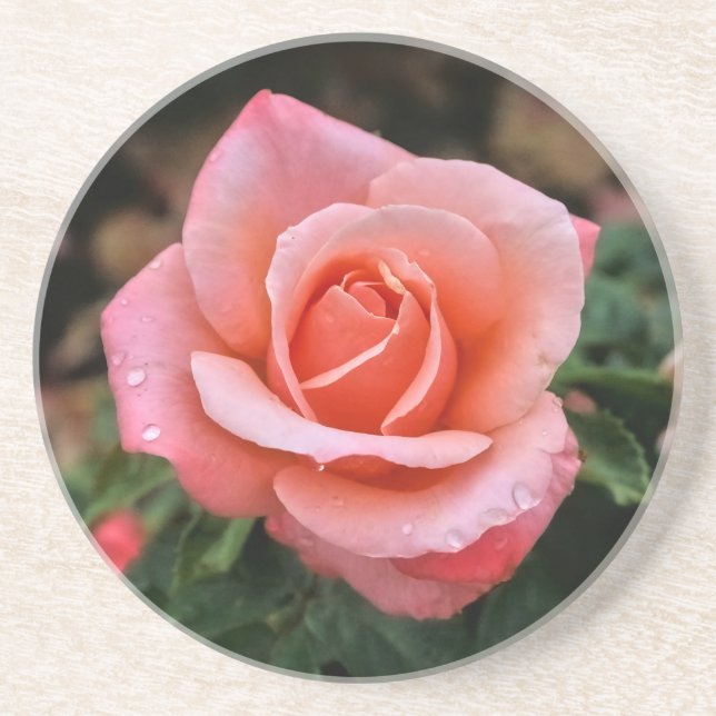 Posavasos Impresión de arte botánico Rosa romántico (Frente)