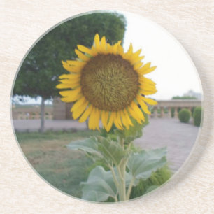 Posavasos Impresión de arte de girasol