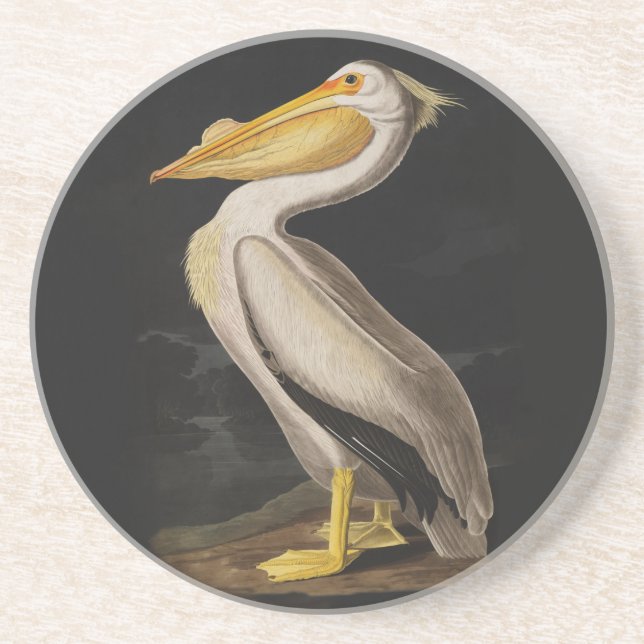 Posavasos Impresión de cosecha de pájaros pelícanos blancos  (Frente)