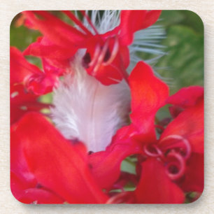 Posavasos Impresión de pinturas de plumas de pepino rojo