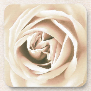 Posavasos Impresión de rosa blanco