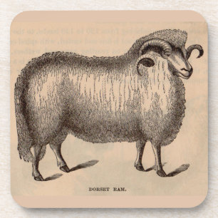 Posavasos Impresión Dorset ram del siglo XIX
