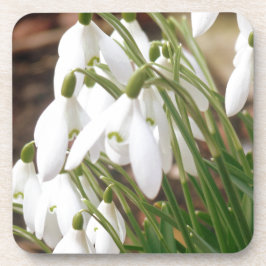 Posavasos Impresionantes Snowdrop