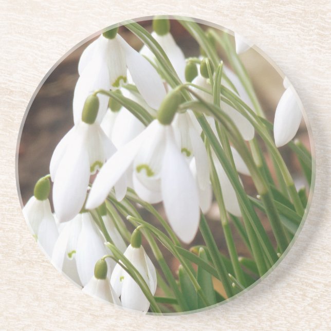 Posavasos Impresionantes Snowdrop (Frente)